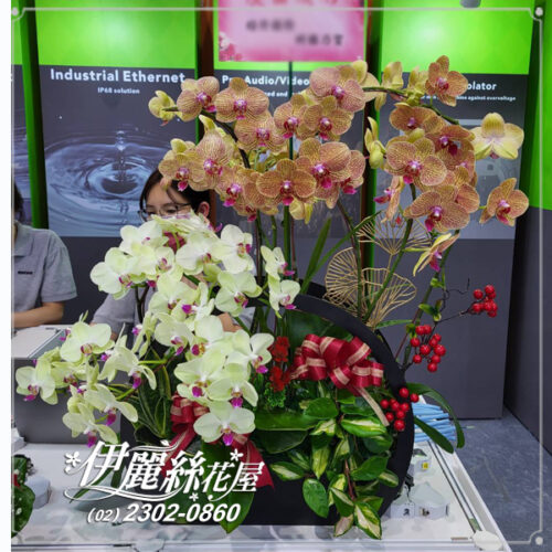 台北世貿展覽蝴蝶蘭桌上型08