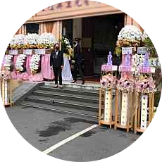 蝴蝶蘭出租