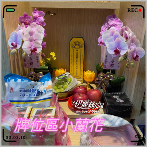 伊麗絲靈前蘭花01 1
