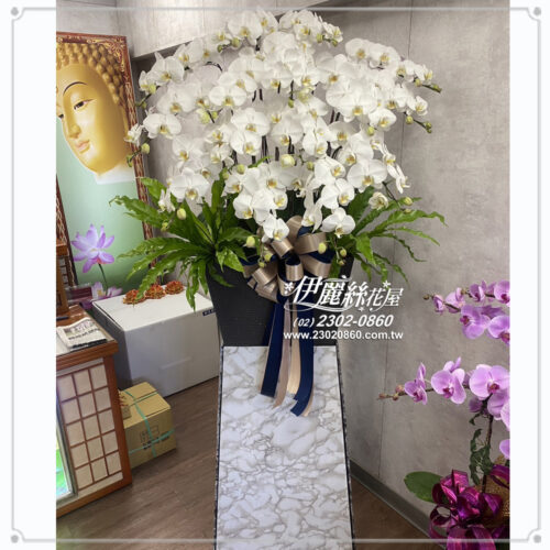 伊麗追思蘭花02 2