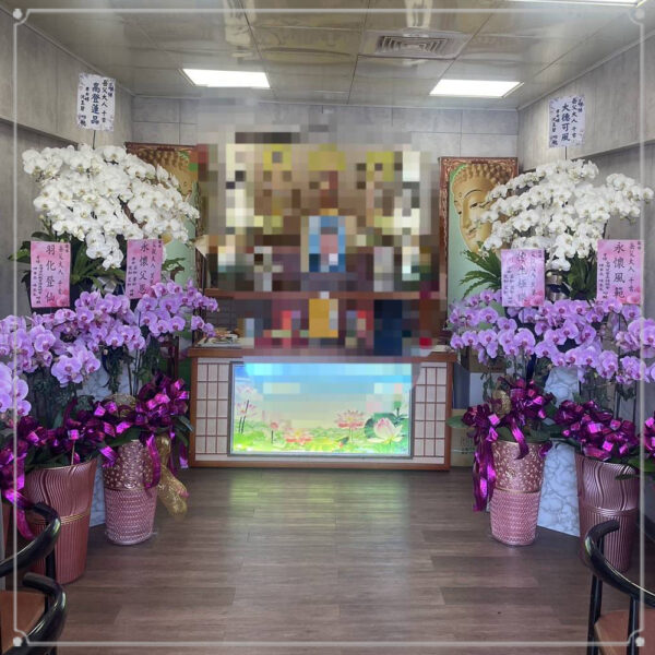 伊麗追思蘭花02 3