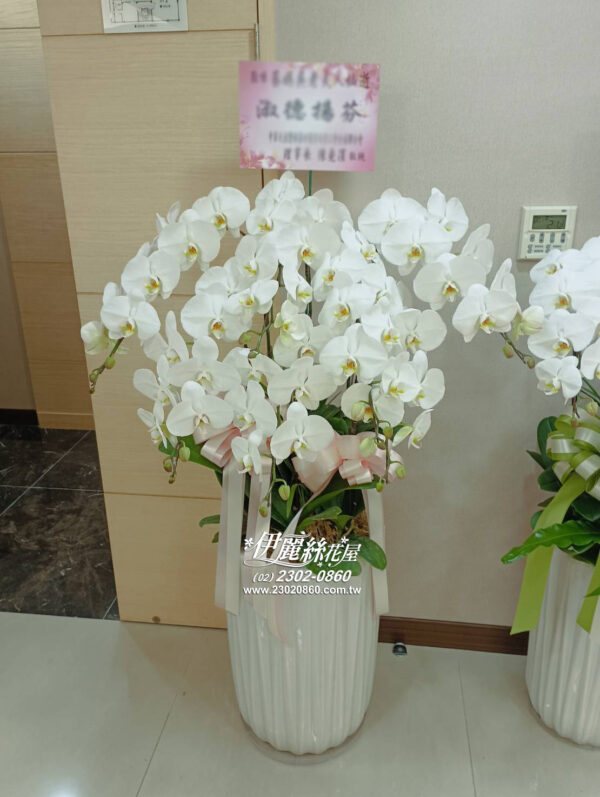伊麗追思蘭花5 1